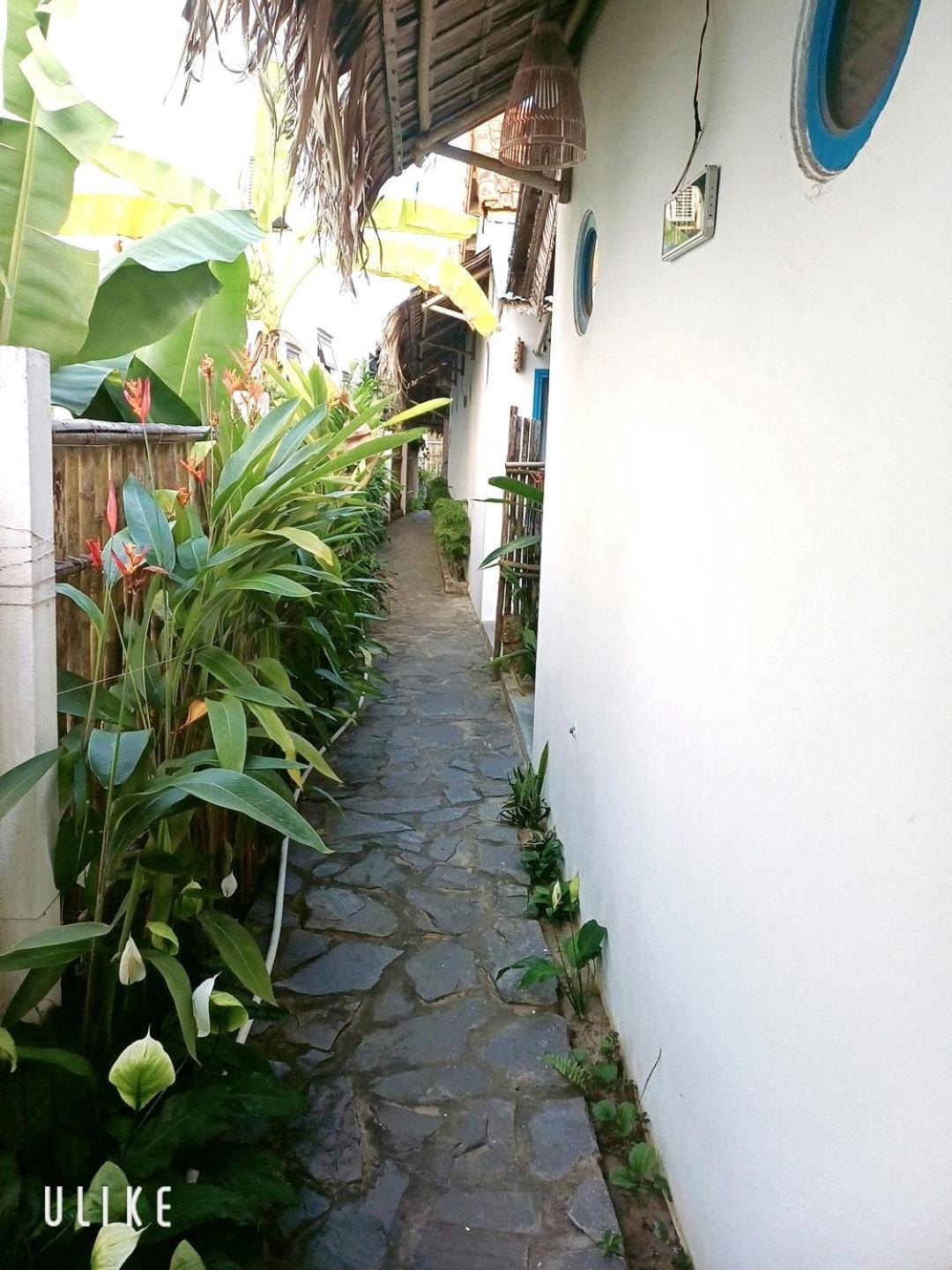 הוי אן Cashew Tree Bungalow מראה חיצוני תמונה